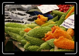 08-23-10 057 * Cukes?  Or Squash?  I'm still not sure... * 1728 x 1152 * (455KB)